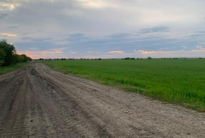 DJ200  Stefanesti de Jos / Dascalu    - Targoviste Gaesti  Vanzare  Teren - 7