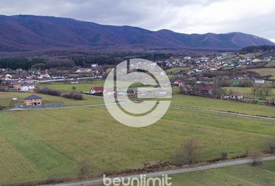 Teren intravilan în Tocile - 39 euro/mp - 4354 m² - 2 fronturi - 12