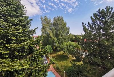 Vila superba cu piscina si gradina superba in Domnesti - 14