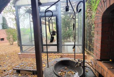 Vila lac snagov in cea mai buna portiune a lacului, ponton, garaj barca, piscina - 42