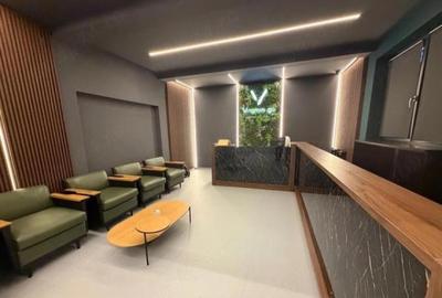 Spatii Comerciale Herastrau Aviatorilor - 1