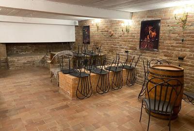 Conac impresionant, situat într-una dintre cele mai exclusiviste zone din Cluj - 9
