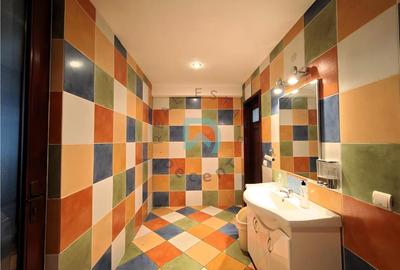 Spatiu comercial, showroom prezentare, 850 mp, Grivitei, Brasov - 18