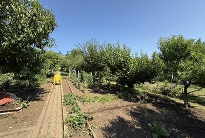 Casă individuală de vânzare -322 mp, 6 camere, Alba Iulia, ZONĂ EXCLUSIVISTĂ - 19