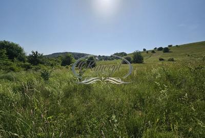 Teren construibil in proximitatea pensiunii ”La Mesteceni” - 5