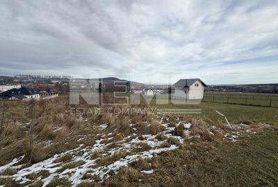 Teren Voievodeasa | 19.5Ari | Intravilan - 5