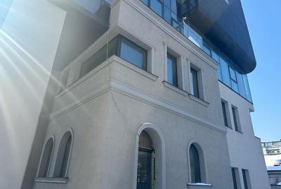 Spațiu comercial, 244 mp în Dacia