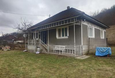 1.3 haTeren si  Casa Luncoiu de Jos - 1