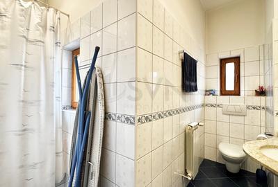 REA0123759 Capitale de vanzare 2 Apartamente plus Pod - 24