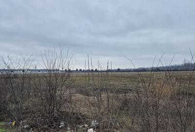 Teren intravilan 49309 mp - sos. De Centura pentru Parcuri Logistice si Hale - 4