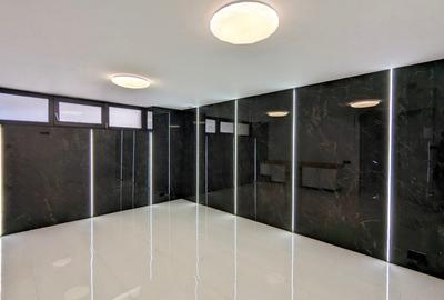 Vila de lux zona Centrul Civic - 6