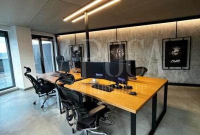 Birou, 115 mp în Zorilor