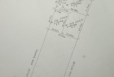 Tereintravilan agricol Magurele - 1