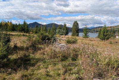 Teren Construcții intravilan de 800 mp, în Colibița