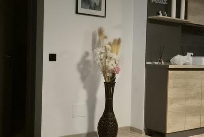Apartament 2 camere -Podu Ros- - 5