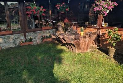 RESTAURANT DE VÂNZARE-COM. OBREJA\SAT IAZ\CARAȘ SEVERIN - 8