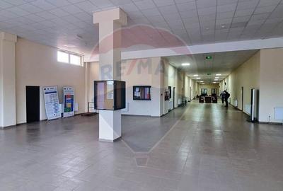 Cladire Comerciala Mixta de Vanzare sau de inchiriat - 8