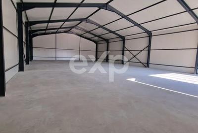 HALĂ INDUSTRIALĂ DE ÎNCHIRIAT – ANINOASA, DÂMBOVIȚA - 2