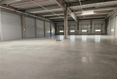 Spatiu Industrial - 2500 mp - Productie - Depozitare - Distributie - 6