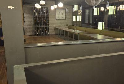 Un Simbol al Eleganței Urbane: Vilă Distinsă pe Strada Maria Rosetti - 8