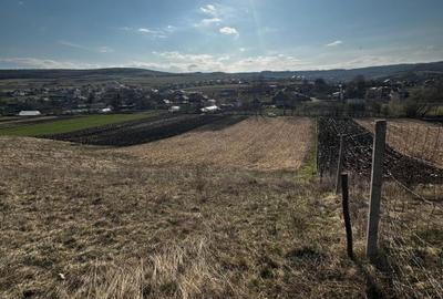 Vand sau schimb Teren extravilan 9000 mp,Corușu, Baciu acces drum apa curgatoare - 10