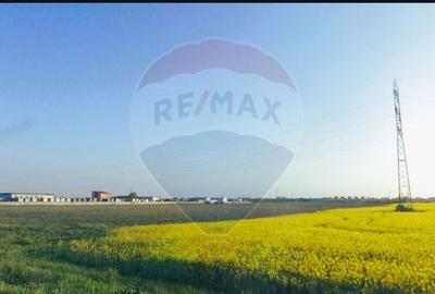 Teren comercial 5 ha, PUZ aprobat, acces direct Centura Nord Arad - 11