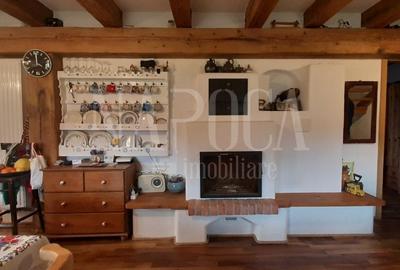 Casa 4 camere de vanzare in Salicea - 3