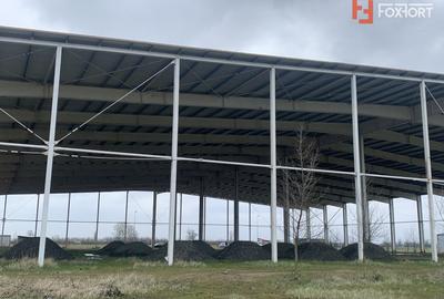 COMISION 0% Hala industriala 5500 mp utili zona de Nord Timisoara - ID V5143 - 13