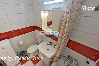 INCHIRIERE APARTAMENT 3 CAMERE PIATA SUDULUI - 24