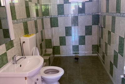 Casa Individuala 4 camere, teren 310 mp- langa  Parc Bragadiru! - 17