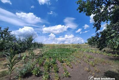 Casa veche, toate utilitatile, Pata, 5808 mp, tot intravilan, front 19,4m - 1