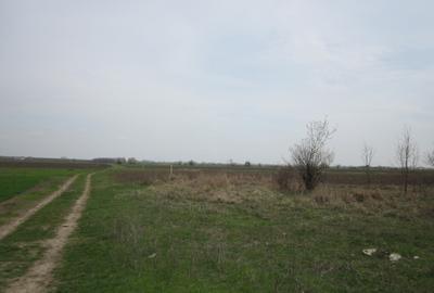 Teghes-Caminului - 5