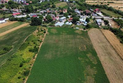 Teren Constructii Intravilan 4750mp SABARENI - 0% COMISION - 4