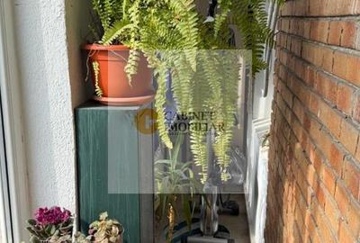 3 camere - 70MP | Decomandat | 2 Balcoane | Crangasi - 10