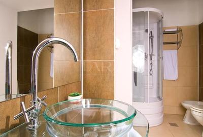 Apartament de lux în Centrul Istoric, zona lângă Piața Unirii - 13