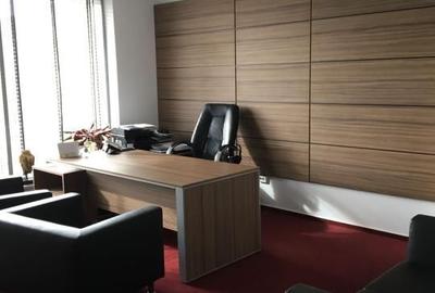 Berceni- Metalurgiei, showroom, birouri, depozitare 1532 mp - 9