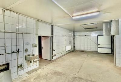 Spatiu industrial de inchiriat-Pretabil productie/depozitare-Oras Pantelimon-DN3 - 11