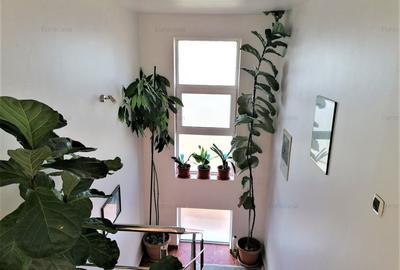 Casa individuala 6 camere P+M, teren 645 mp, in vatra satului Săcalaz - 8