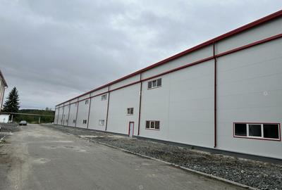 SPATIU INDUSTRIAL, 5493  MP - parter - direct de la proprietar - 10