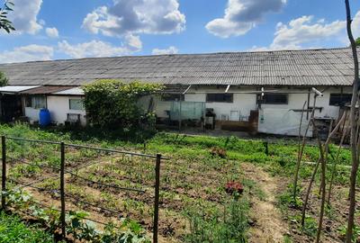 Hala zona Drumul Tatarilor - 1