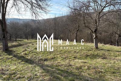 Teren de vânzare, 7750 mp I Orientare sudică I Caineni - 1