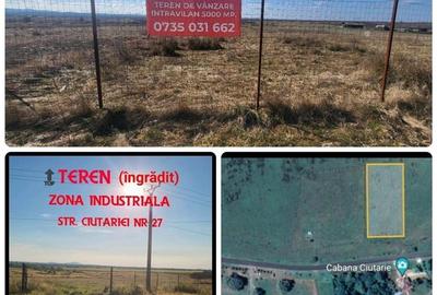 Teren intravilan, Sebis , zona str. Ciutariei. - 1