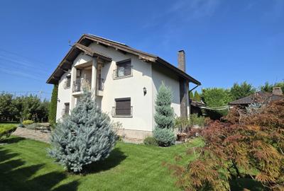 Casa de Vis, Serbanesti - 3