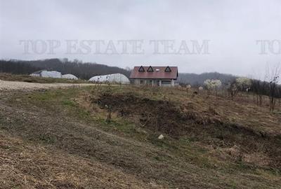 Casă individuală cu 3 camere în Stanomiru