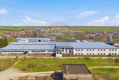 Spațiu industrial 4.4Ha Teren și 15.000mpc - Zona Industrială - Hârlău - 15