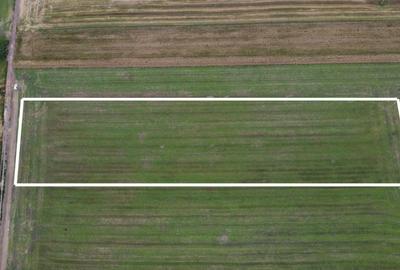 Teren industrial  Codlea – intravilan, ideal hala/depozit/ logistica - 3