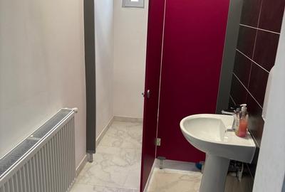 Spatiu de Birouri 240mp Baza 3 - 4