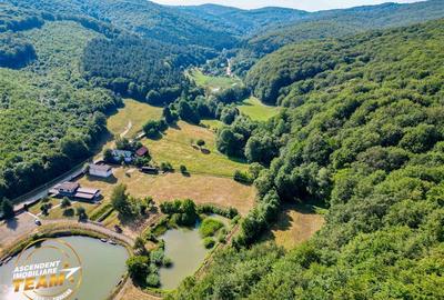 FILM! Teren extravilan pe 2.737mp,zona pretioasa,acces facil,Dobarlau,Covasna - 12