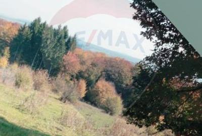 Teren ideal pentru glamping în Vlădeni, aproape de Brașov - 7