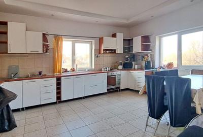 Propriete superbă la marginea pădurii în Râșnov Primăverii 5,000 mp - 16